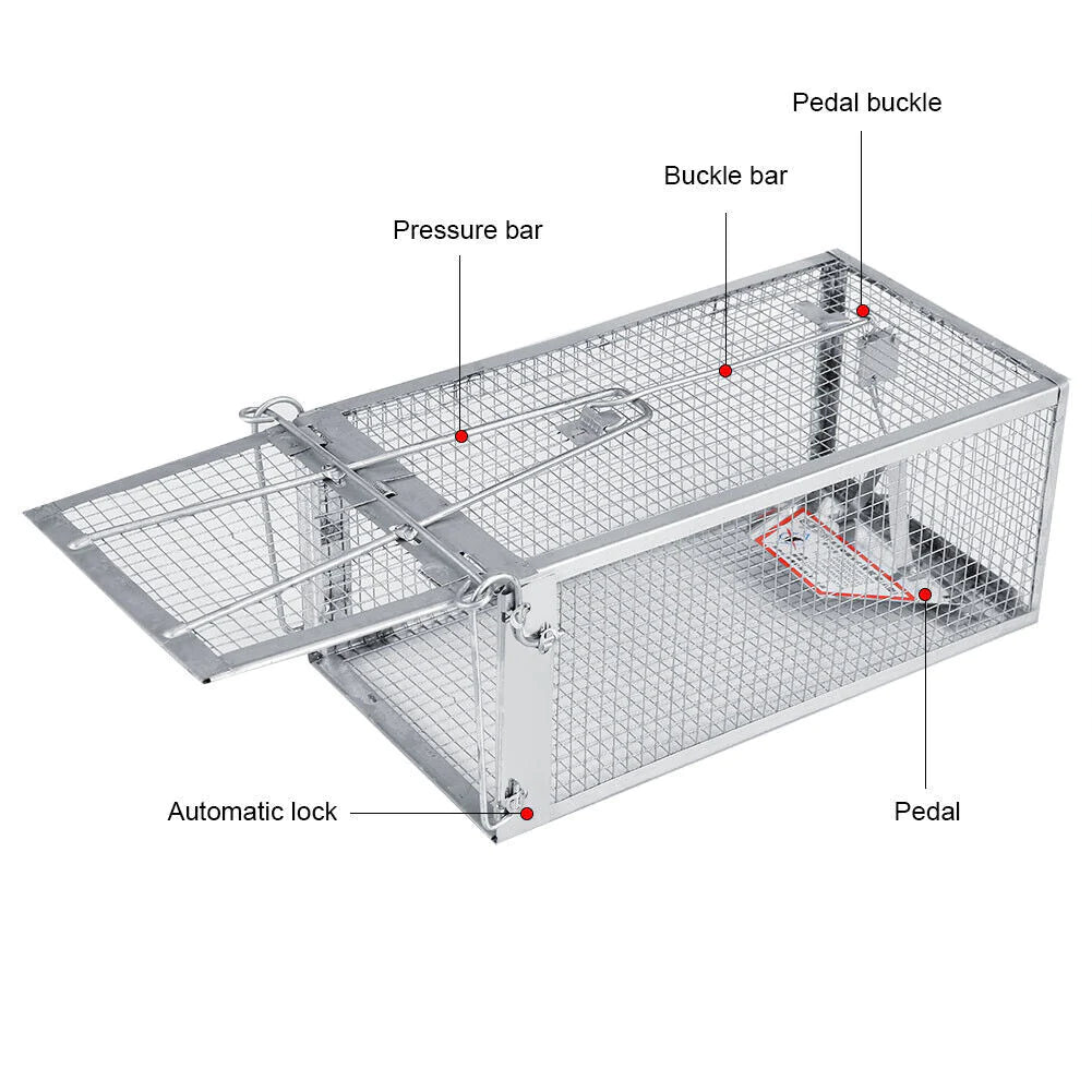 USA Mouse Trap Rat Trap Rodent Trap Live Catch Cage, Easy to Set up and Reuse